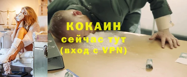 твердый Арсеньев
