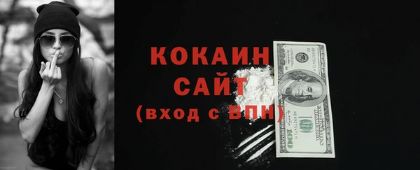 твердый Арсеньев