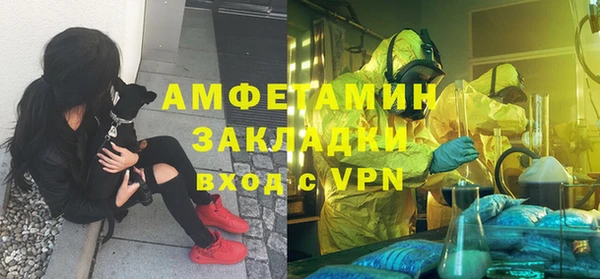 твердый Арсеньев