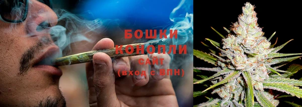 амф Володарск